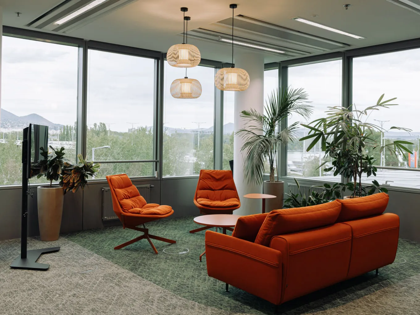 Jacobs Offices Carpet Collection First Sway