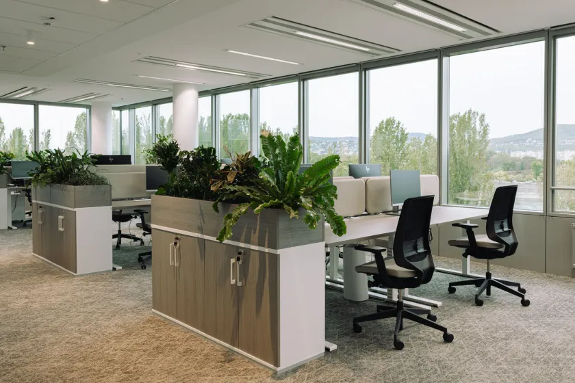 Jacobs Offices Desk Space First Sway Carpet Collection